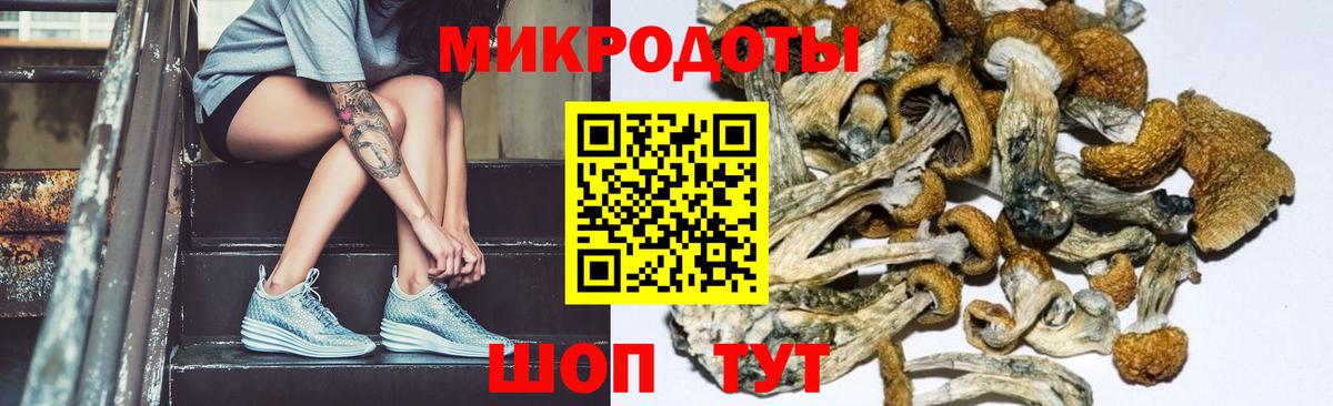 Галлюциногенные грибы мицелий  Вход с VPN  Минусинск 